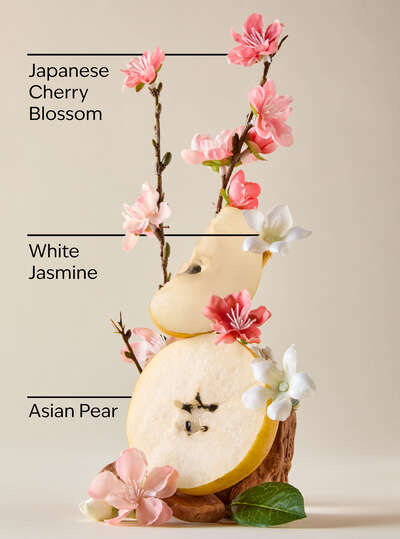Gel Antibacterial Japanese Cherry Blossom Bath & Body Works