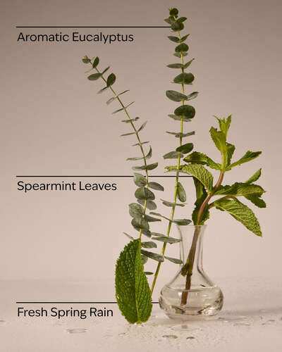 Gel Antibacterial Eucalyptus Rain