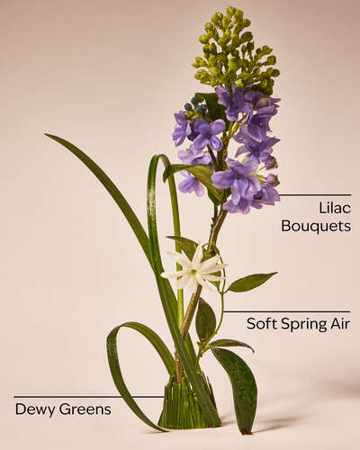 Gel Antibacterial Fresh Cut Lilacs