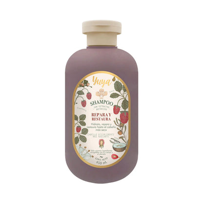 Shampoo Con Extractos Botanicos Yuya