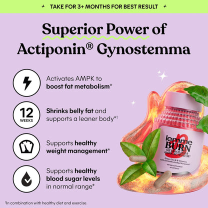 Lemme Burn Metabolismo Capsulas